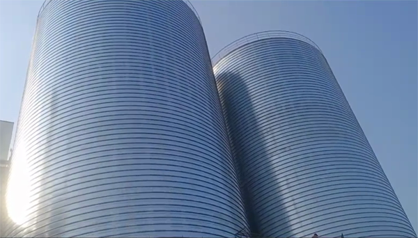 如皋2座混凝土高架卷板仓